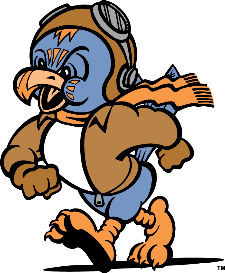 Tennessee-Martin Skyhawks 1995-2007 Mascot Logo iron on transfers for clothing